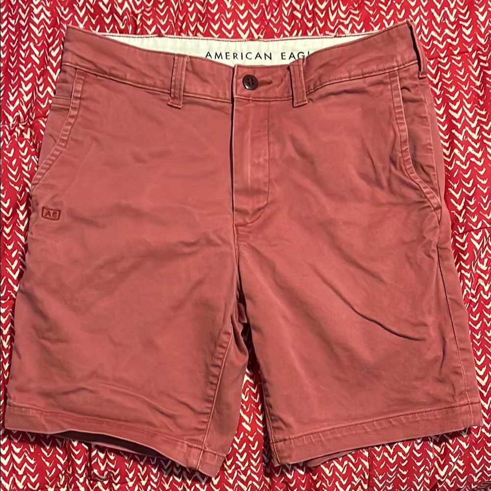 American Eagle Outfitters Men's Salmon colored Shorts